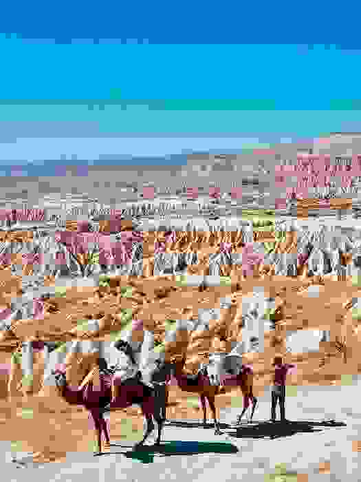 Сафари на верблюдах в Каппадокии