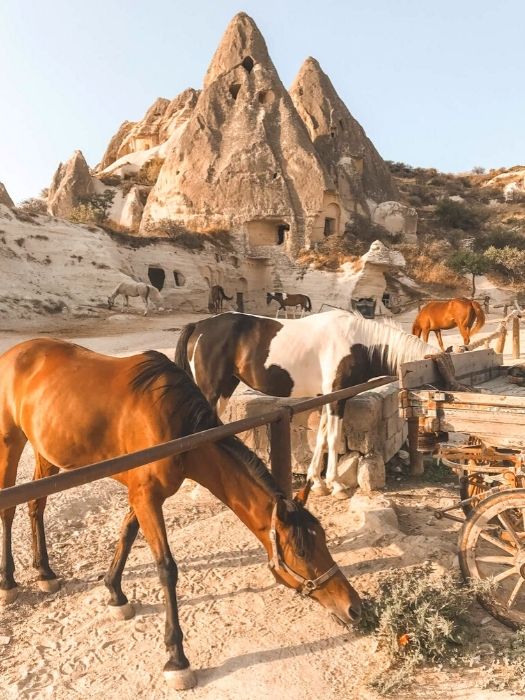 Сафари на лошадях в Каппадокии
