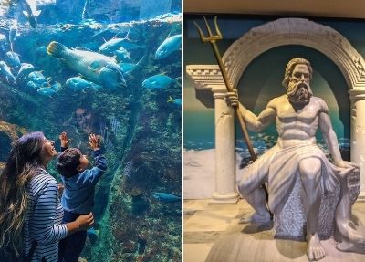 Экскурсия в океанариум в Стамбуле