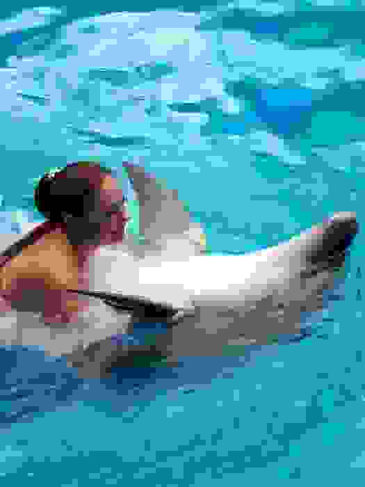 Плавание с дельфинами в Аланье