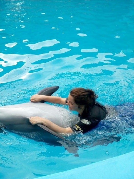 Плавание с дельфинами в Аланье
