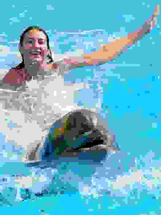 Плавание с дельфинами в Сиде