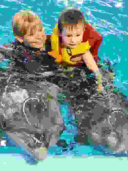 Плавание с дельфинами в Сиде