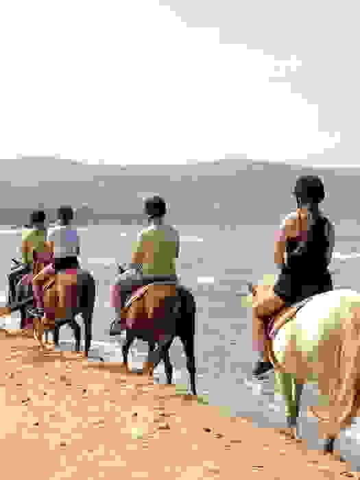 Сафари на лошадях в Сиде